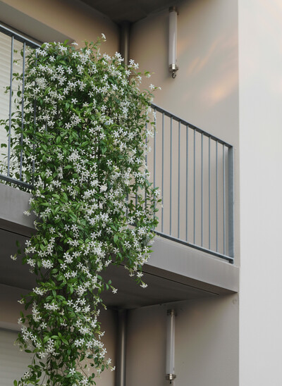 Dompierre - © Edgar